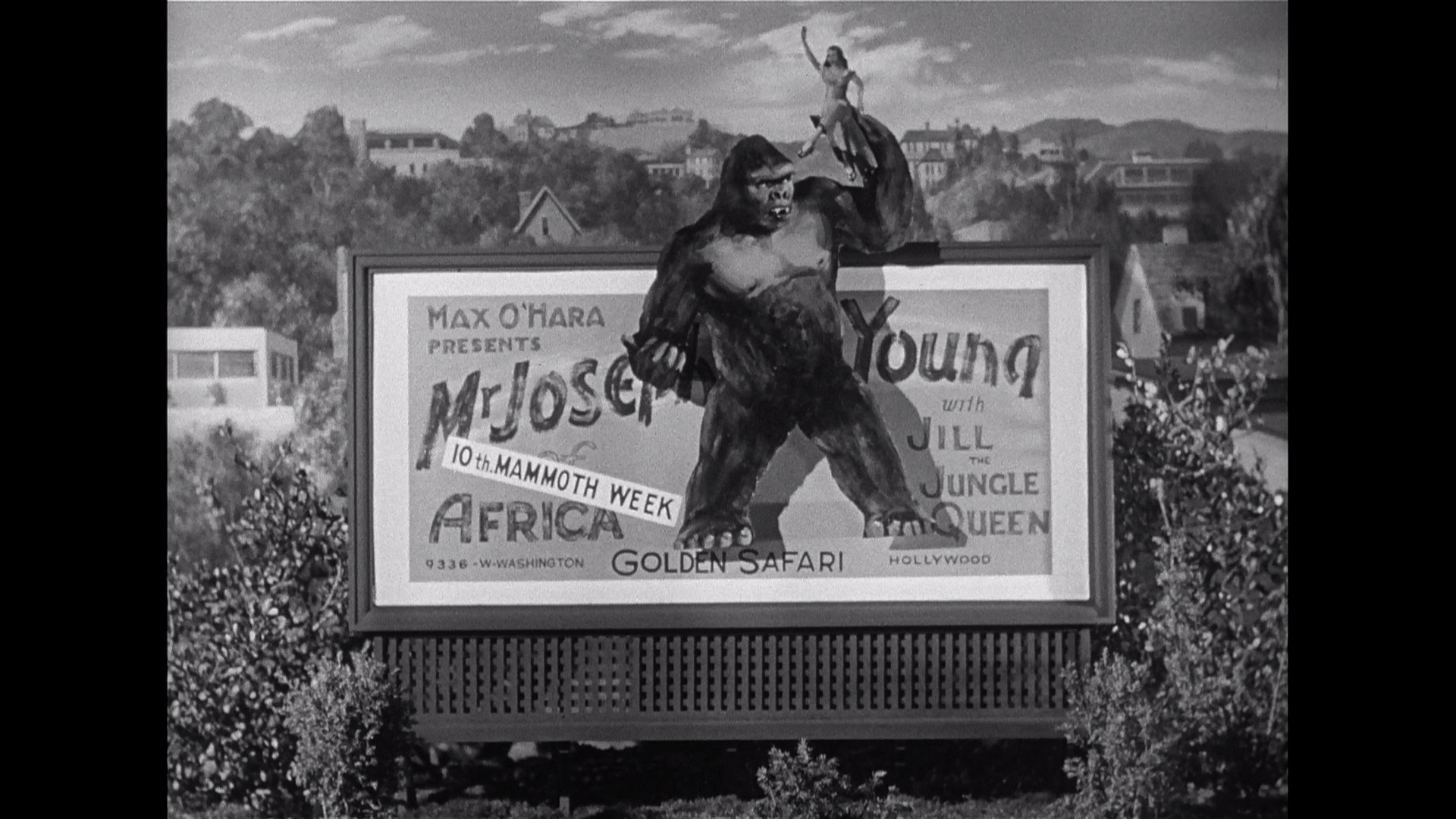 Mighty Joe Young (1949) Screenshot 2
