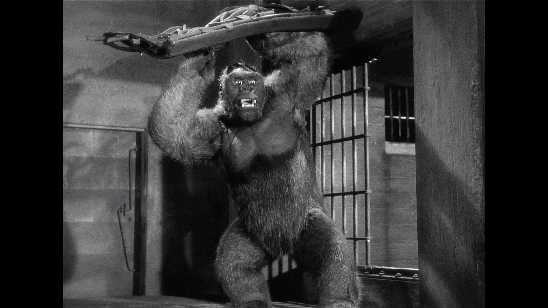 Mighty Joe Young (1949) Screenshot 5
