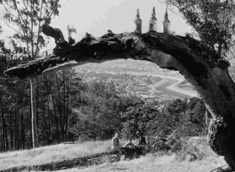 Gun Crazy (1950) Screenshot 4