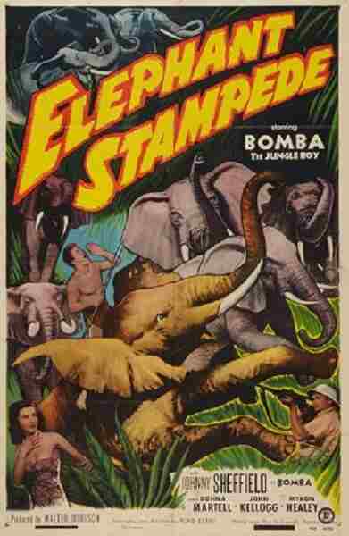 Elephant Stampede (1951) Screenshot 1
