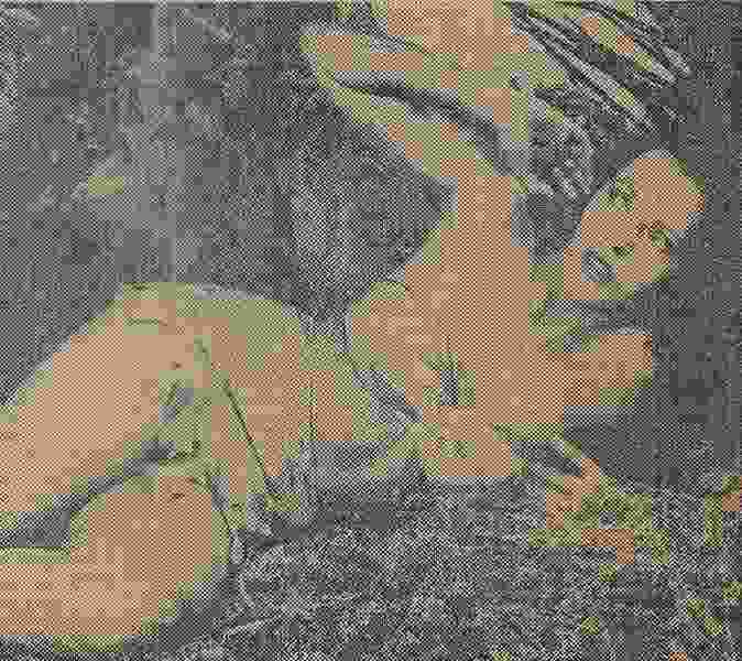 Lost Continent (1951) Screenshot 1