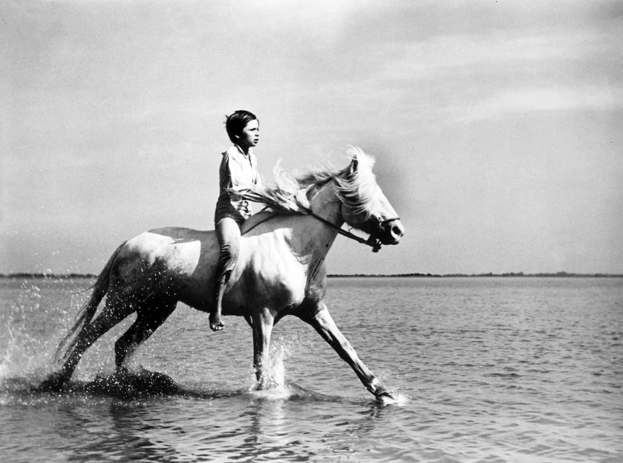 White Mane (1953) Screenshot 1