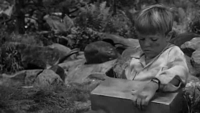 Desperate Search (1952) Screenshot 2
