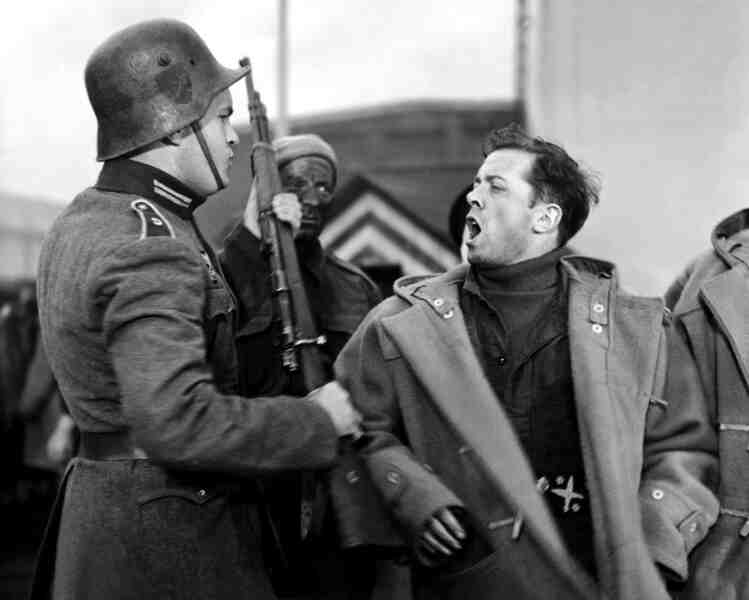 Glory at Sea (1952) starring Trevor Howard on DVD DVD Glory at Sea (1952) Screenshot 5