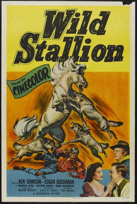 Wild Stallion (1952) Screenshot 2