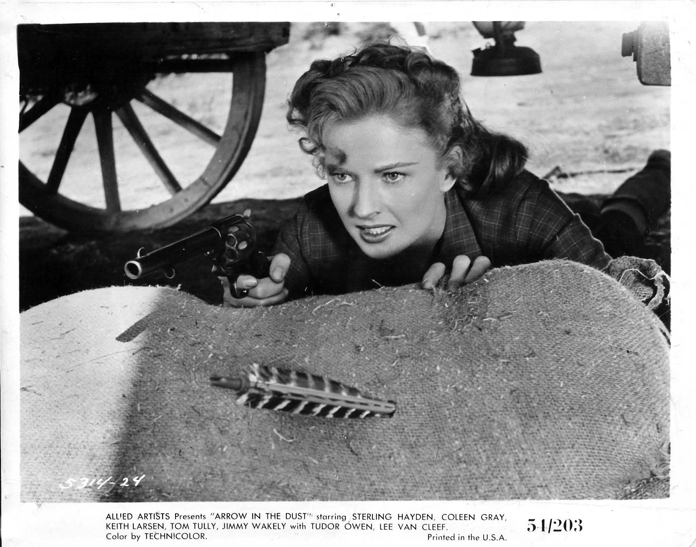 Arrow in the Dust (1954) Screenshot 1