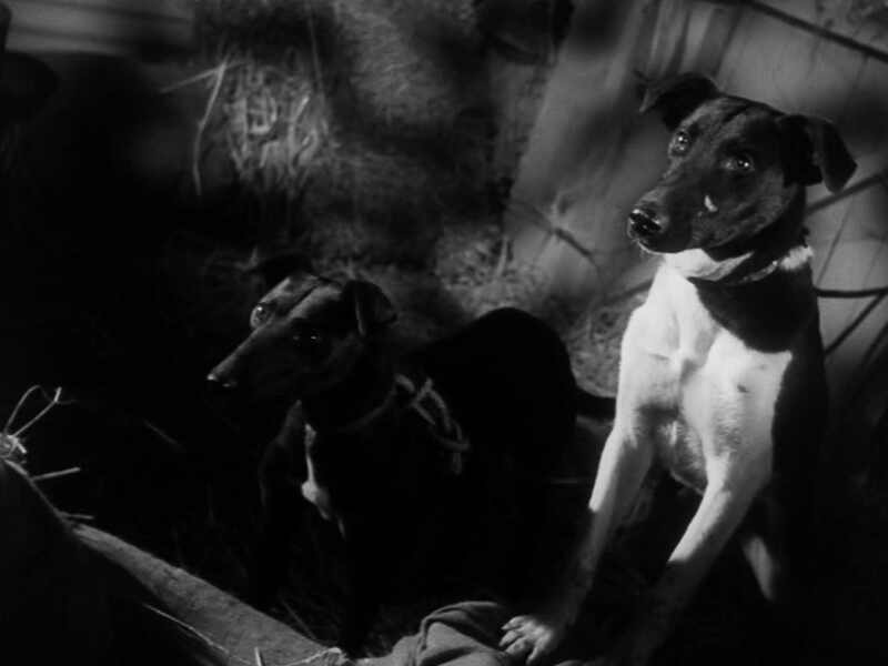 Game of Danger (1954) Screenshot 4