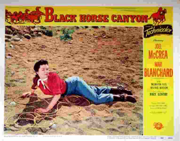 Black Horse Canyon (1954) Screenshot 3