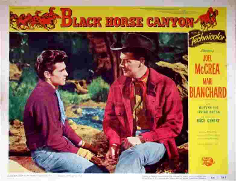 Black Horse Canyon (1954) Screenshot 4