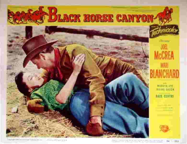 Black Horse Canyon (1954) Screenshot 5