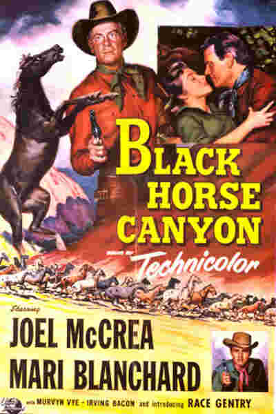 Black Horse Canyon (1954) starring Joel McCrea on DVD on DVD