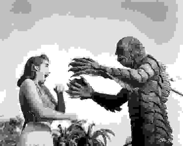 Creature from the Black Lagoon (1954) Screenshot 2