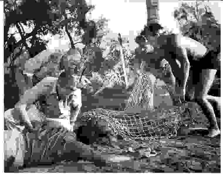 Creature from the Black Lagoon (1954) Screenshot 3