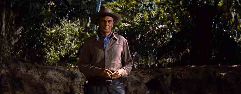Garden of Evil (1954) Screenshot 4