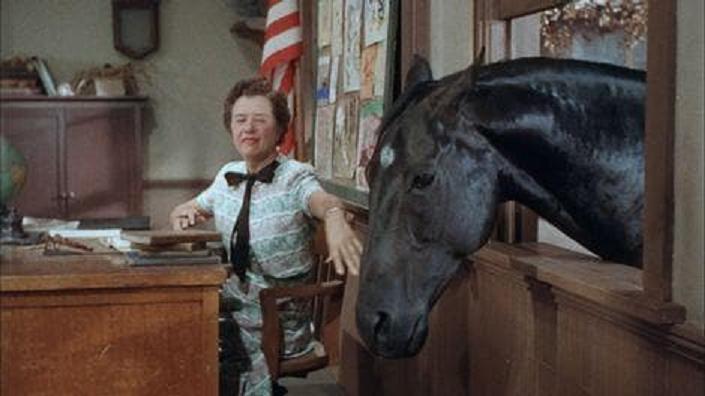 Gypsy Colt (1954) Screenshot 4