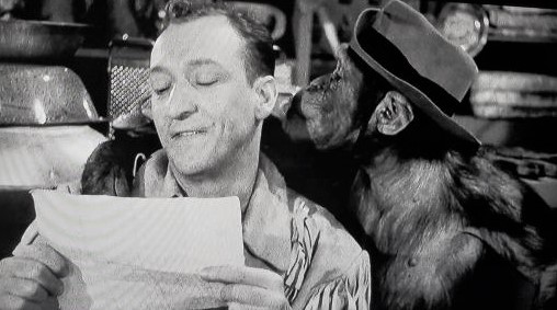 Jungle Gents (1954) Screenshot 4