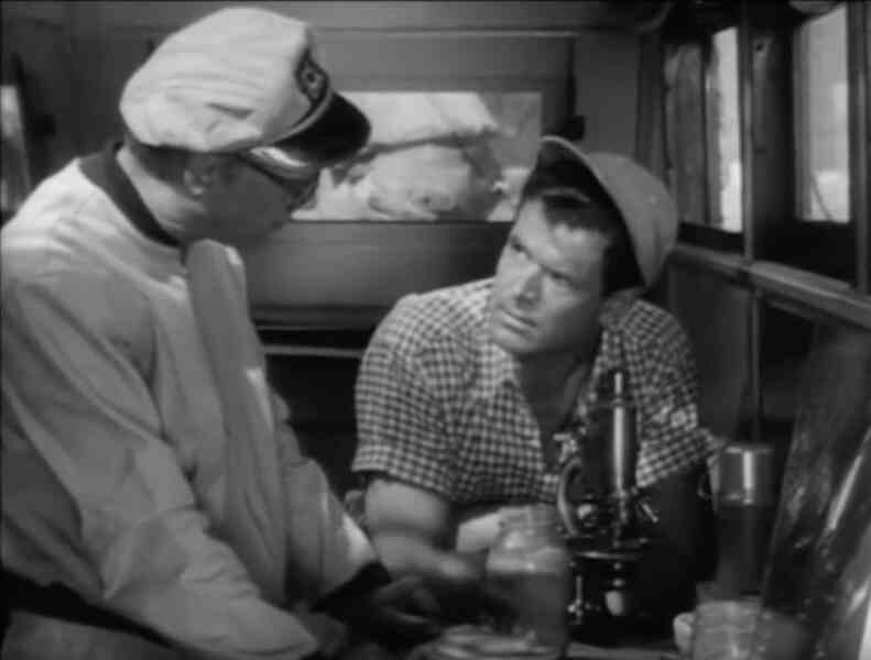 Monster from the Ocean Floor (1954) Screenshot 5