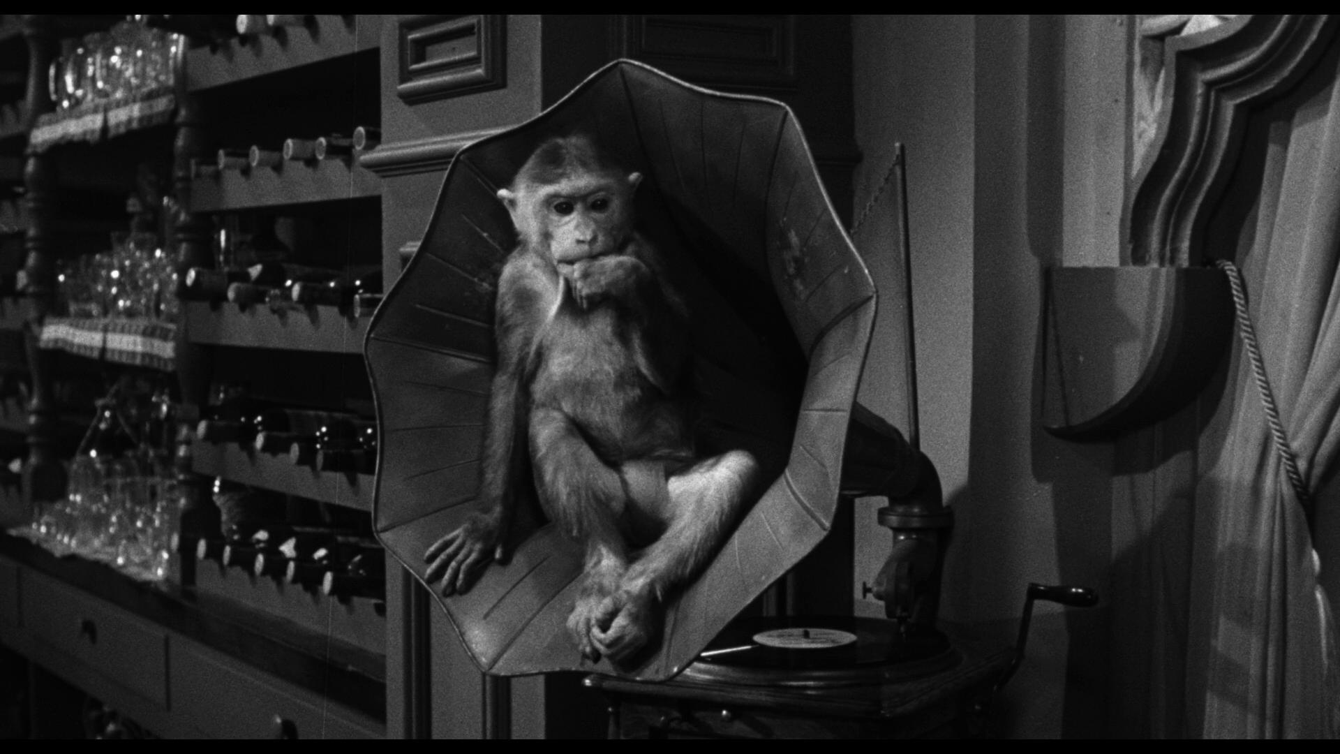 Cult of the Cobra (1955) Screenshot 5