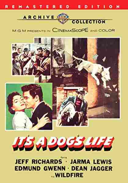 It's a Dog's Life (1955) Screenshot 1