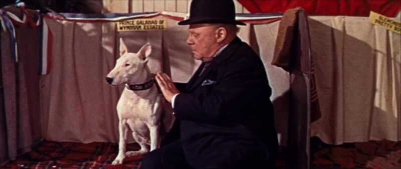 It's a Dog's Life (1955) Screenshot 3