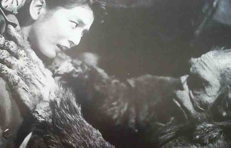 Jû jin yuki otoko (1955) Screenshot 5