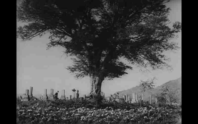 She Was Like a Wild Chrysanthemum (1955) Screenshot 2