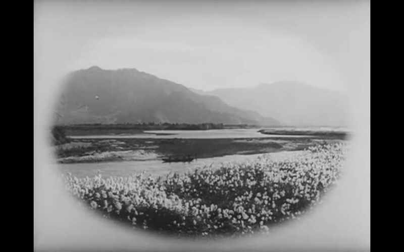She Was Like a Wild Chrysanthemum (1955) Screenshot 4