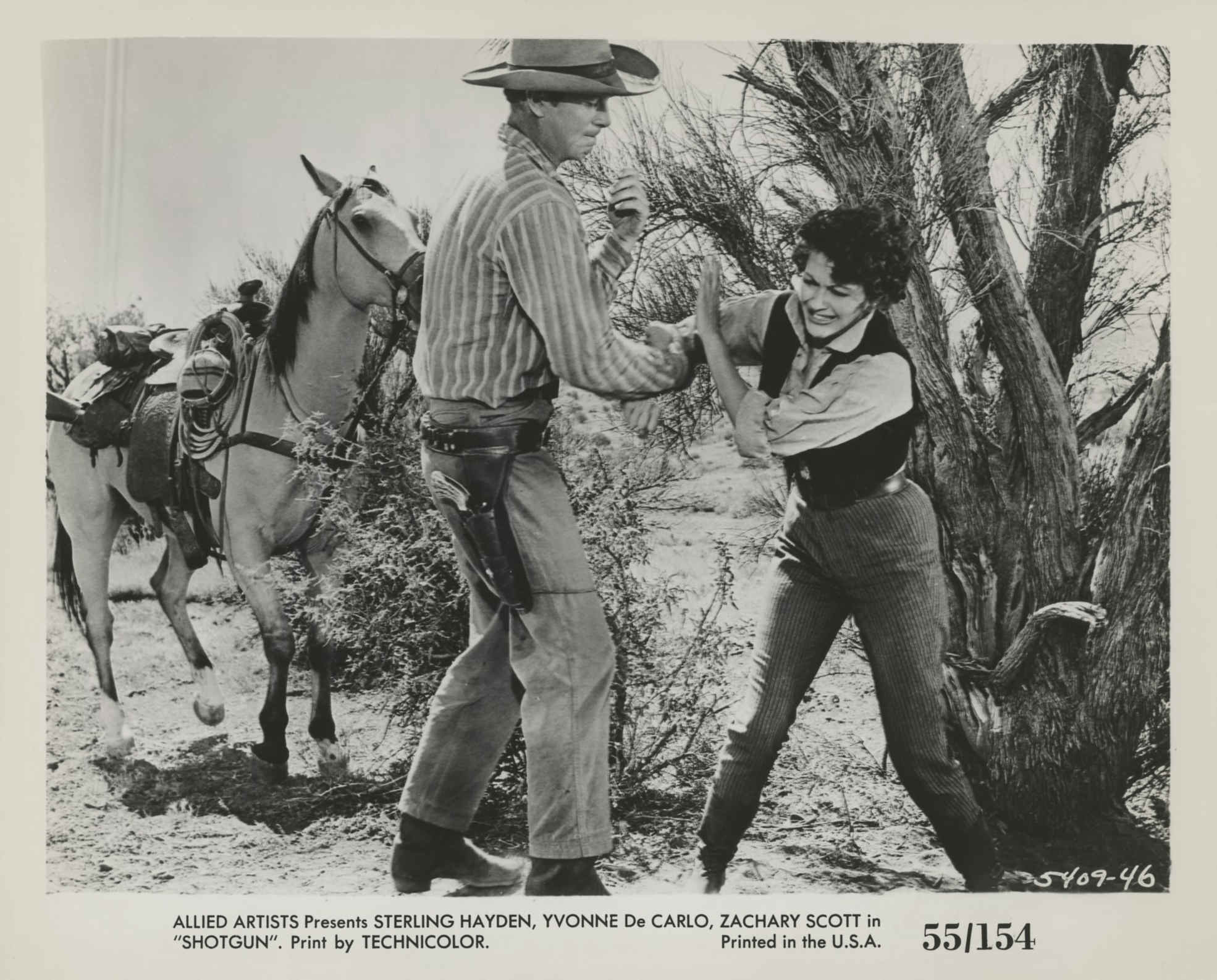 Shotgun (1955) Screenshot 2 