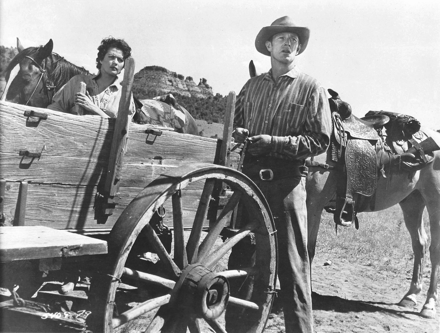 Shotgun (1955) Screenshot 5 