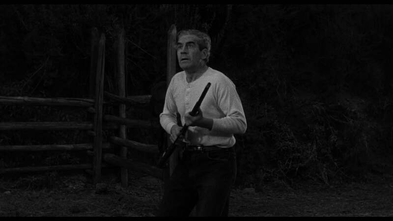 Tarantula (1955) Screenshot 2