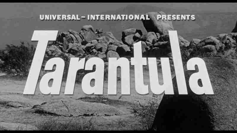Tarantula (1955) Screenshot 4