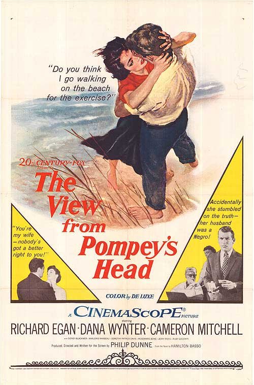 The View from Pompey's Head (1955) starring Richard Egan on DVD on DVD