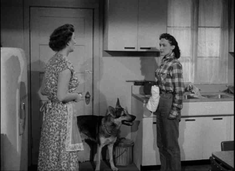 The Beast with a Million Eyes (1955) Screenshot 3