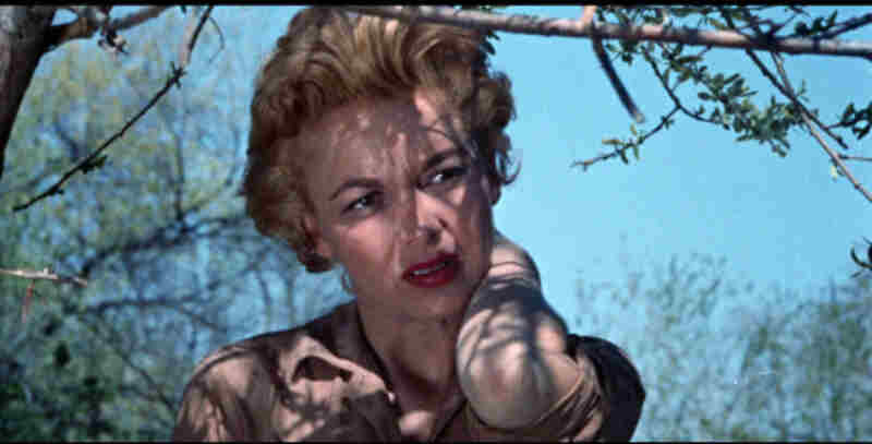 Curucu, Beast of the Amazon (1956) Screenshot 3