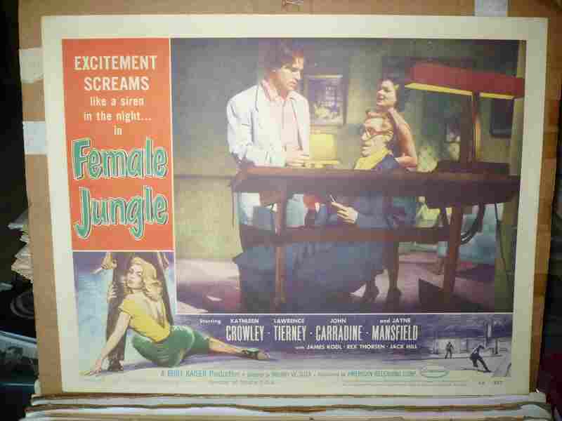 Female Jungle (1955) Screenshot 1