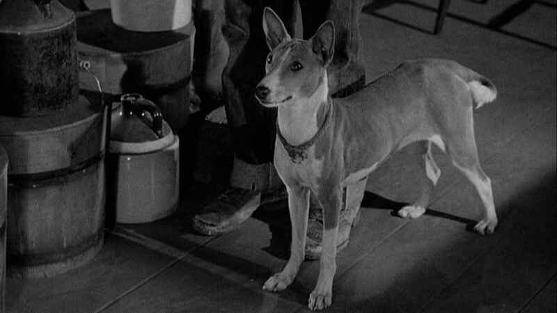 Good-bye, My Lady (1956) Screenshot 3
