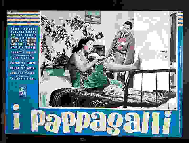 I pappagalli (1955) Screenshot 4