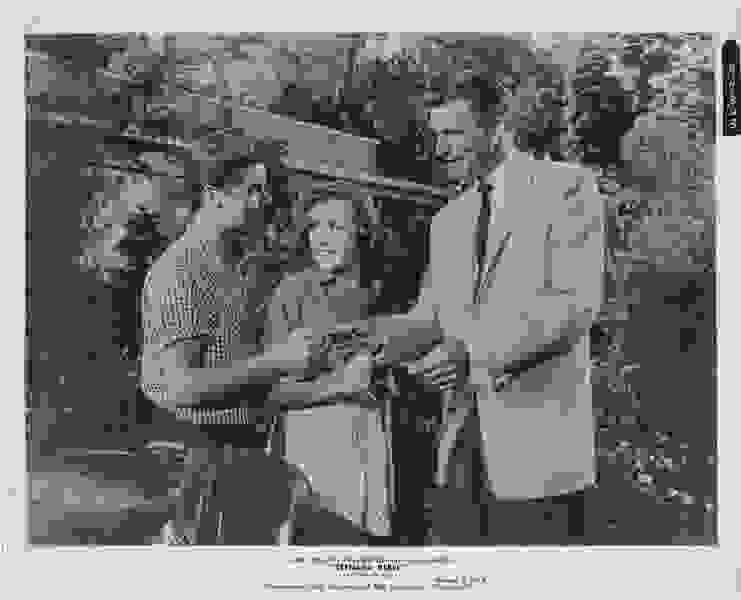 Teenage Rebel (1956) starring Ginger Rogers on DVD DVD Teenage Rebel (1956) Screenshot 3