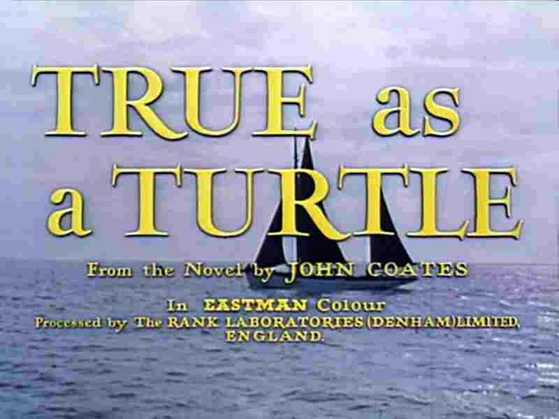 True as a Turtle (1957) Screenshot 1