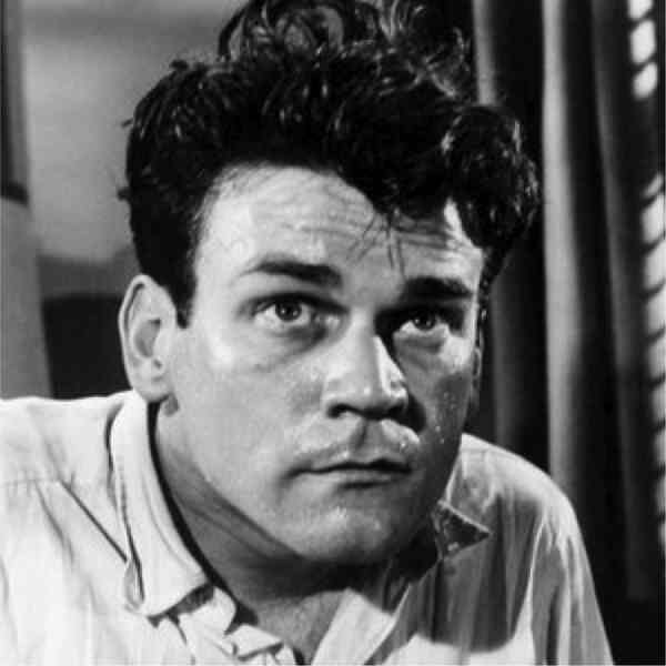 A Hatful of Rain (1957) Screenshot 2