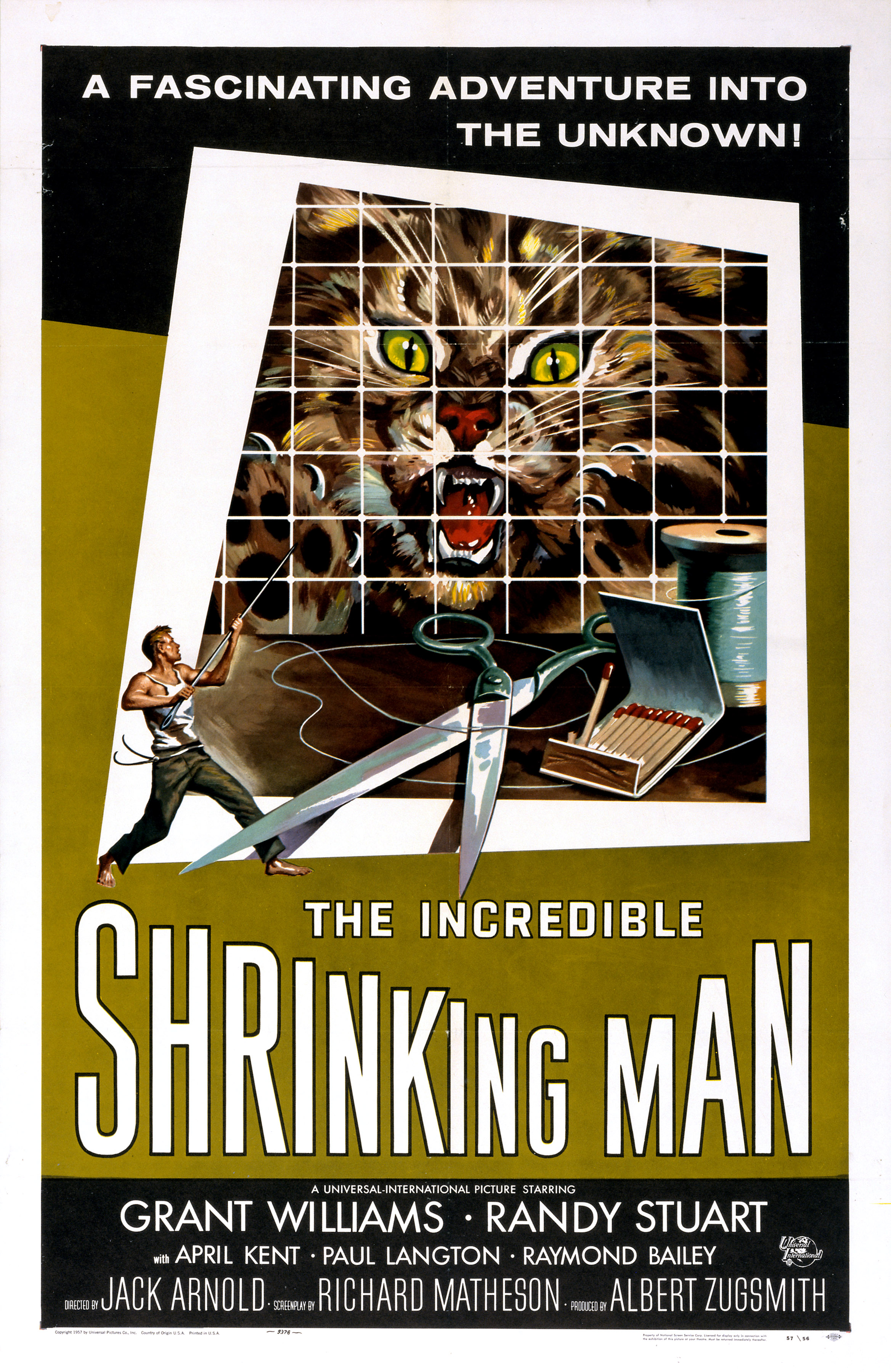 The Incredible Shrinking Man (1957) starring Grant Williams on DVD on DVD