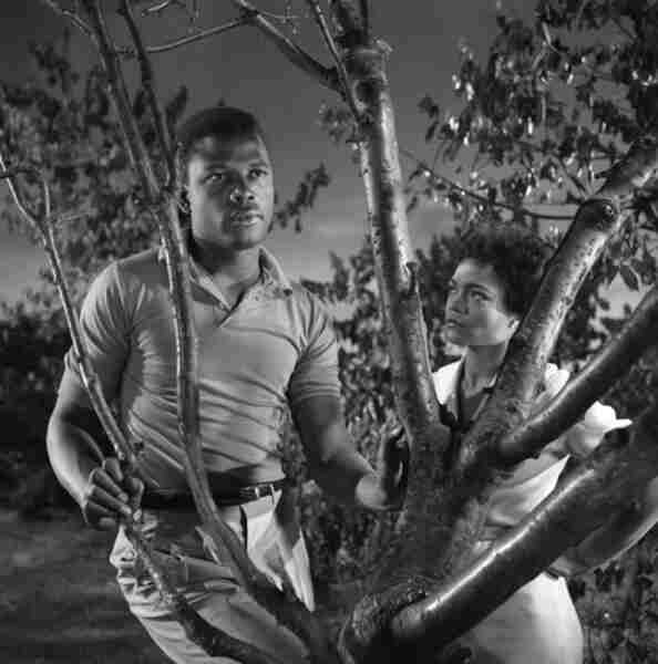 The Mark of the Hawk (1957) Screenshot 1