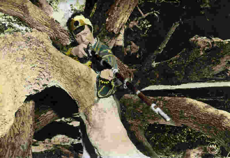 Naked in the Sun (1957) Screenshot 5