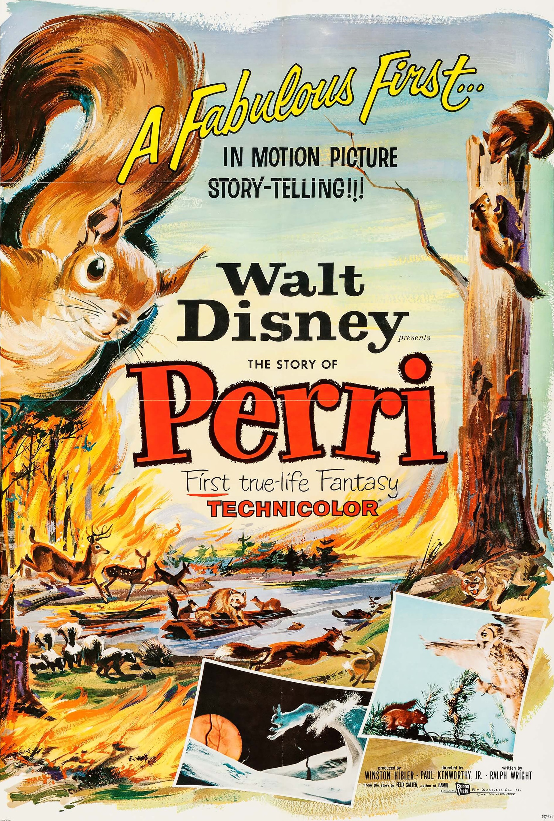 Perri (1957) Screenshot 2 