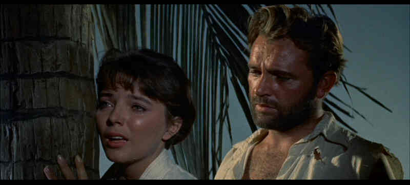 Sea Wife (1957) Screenshot 5