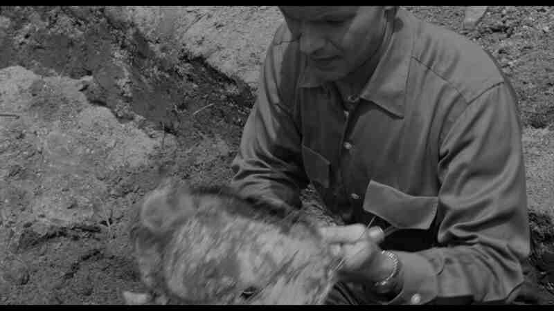 Giant from the Unknown (1958) Screenshot 3