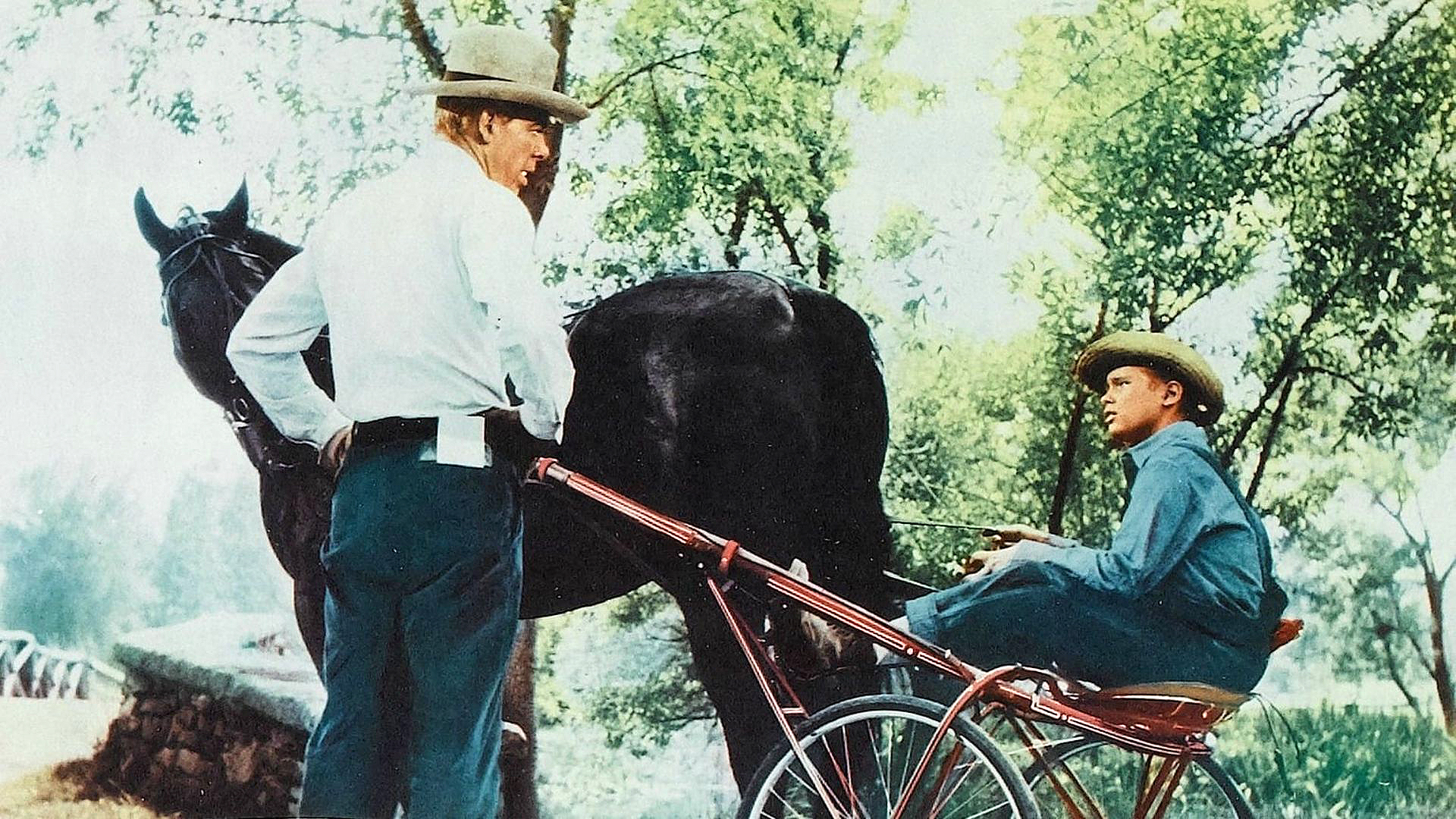The Missouri Traveler (1958) Screenshot 4