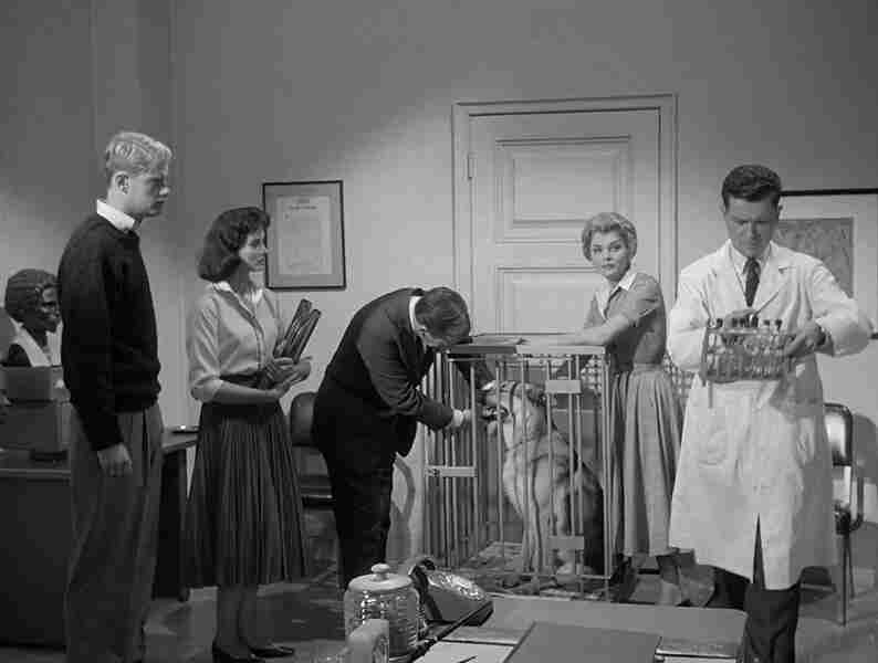 Monster on the Campus (1958) Screenshot 3
