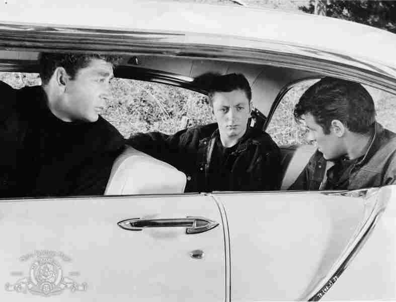 Thunder Road (1958) Screenshot 5