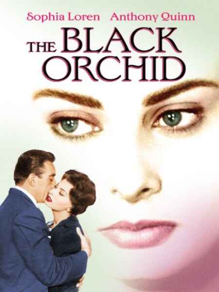 The Black Orchid (1958) Screenshot 3